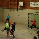 TSG Calbe gegen TSV Niederndodeleben (19.01.2013)