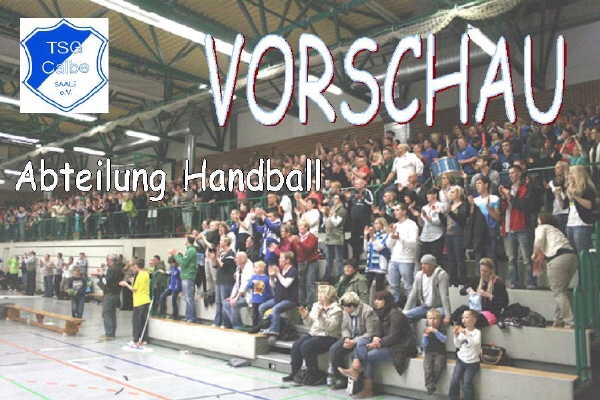 Tsg Calbe Handball Tsg Calbe Handball